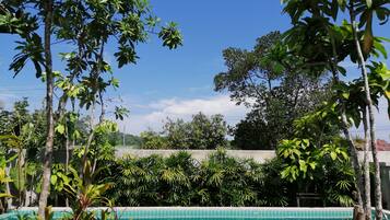 Vista desde la habitación