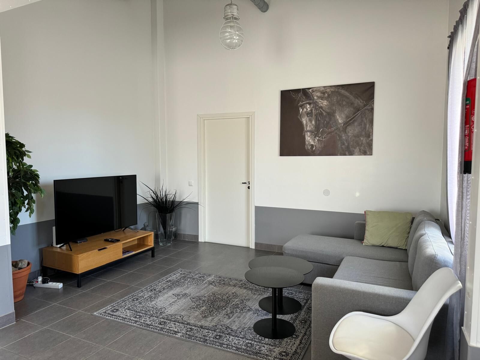 A modern living room with a flat-screen TV, a sofa, a coffee table, and a decorative rug.