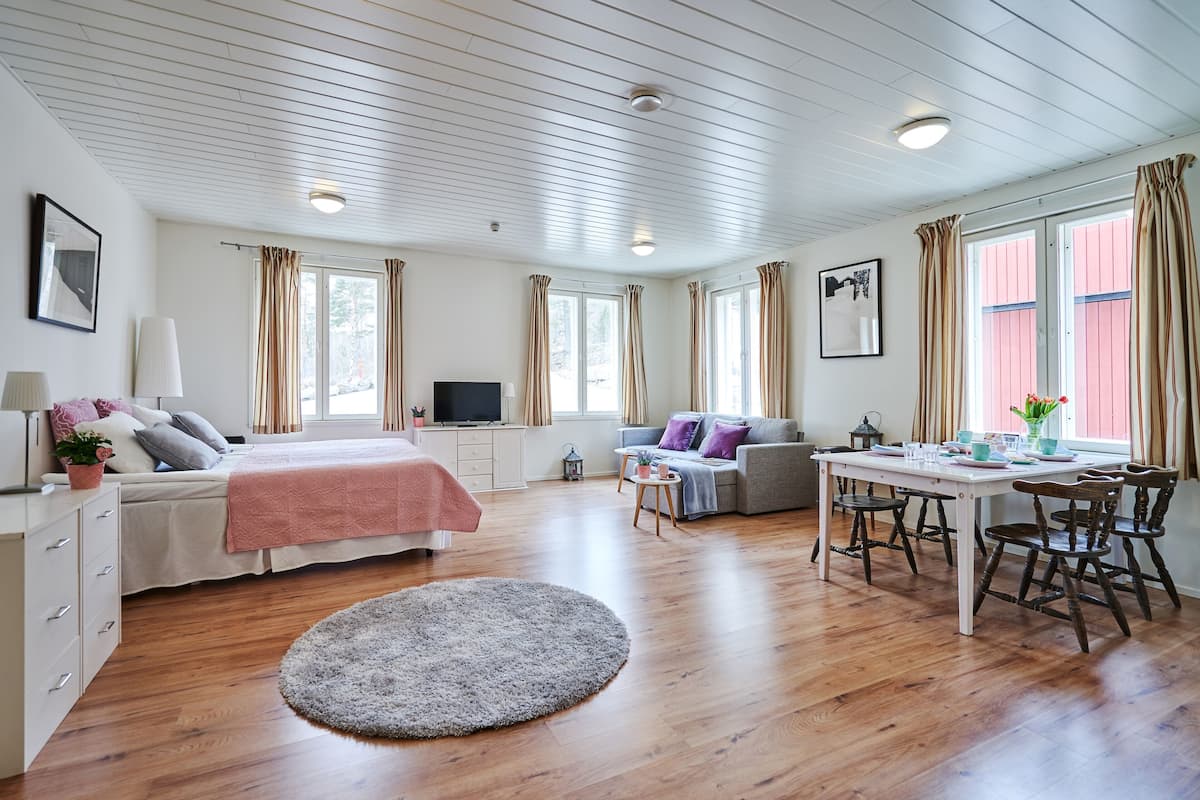 A room with a bed, a sofa, a dining table with chairs, a TV, and a window with curtains.