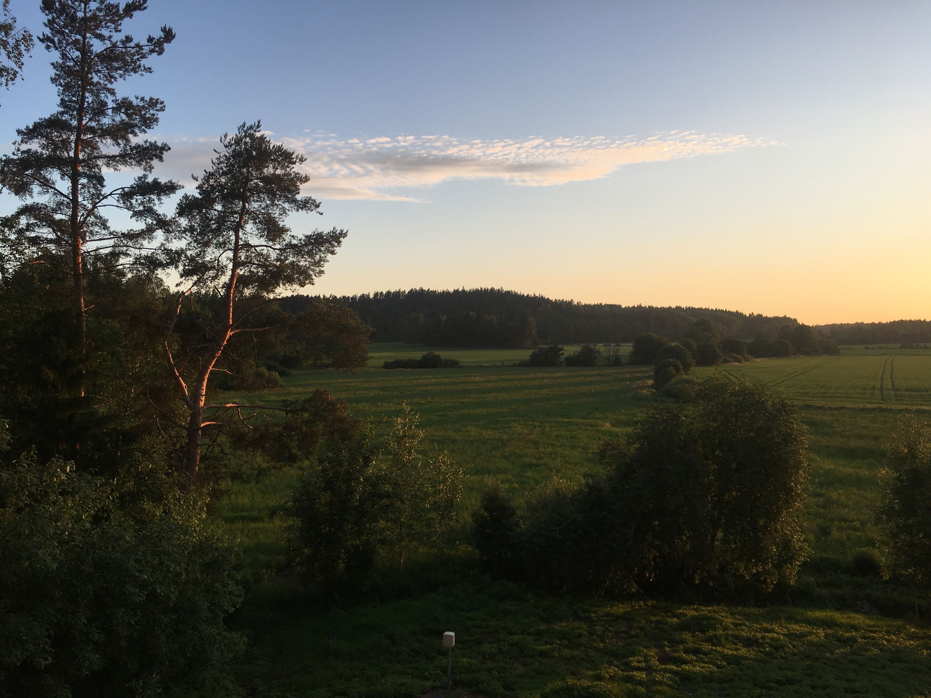 A rural landscape with a field, trees, and a clear sky.