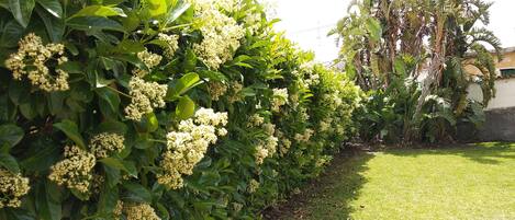 House, 2 Bedrooms, Microwave | Property grounds