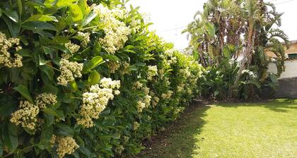 House With Garden Near the sea