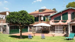 A house with a stone facade, green shutters, and a tree in the yard. There are two lounge chairs under a white umbrella.
