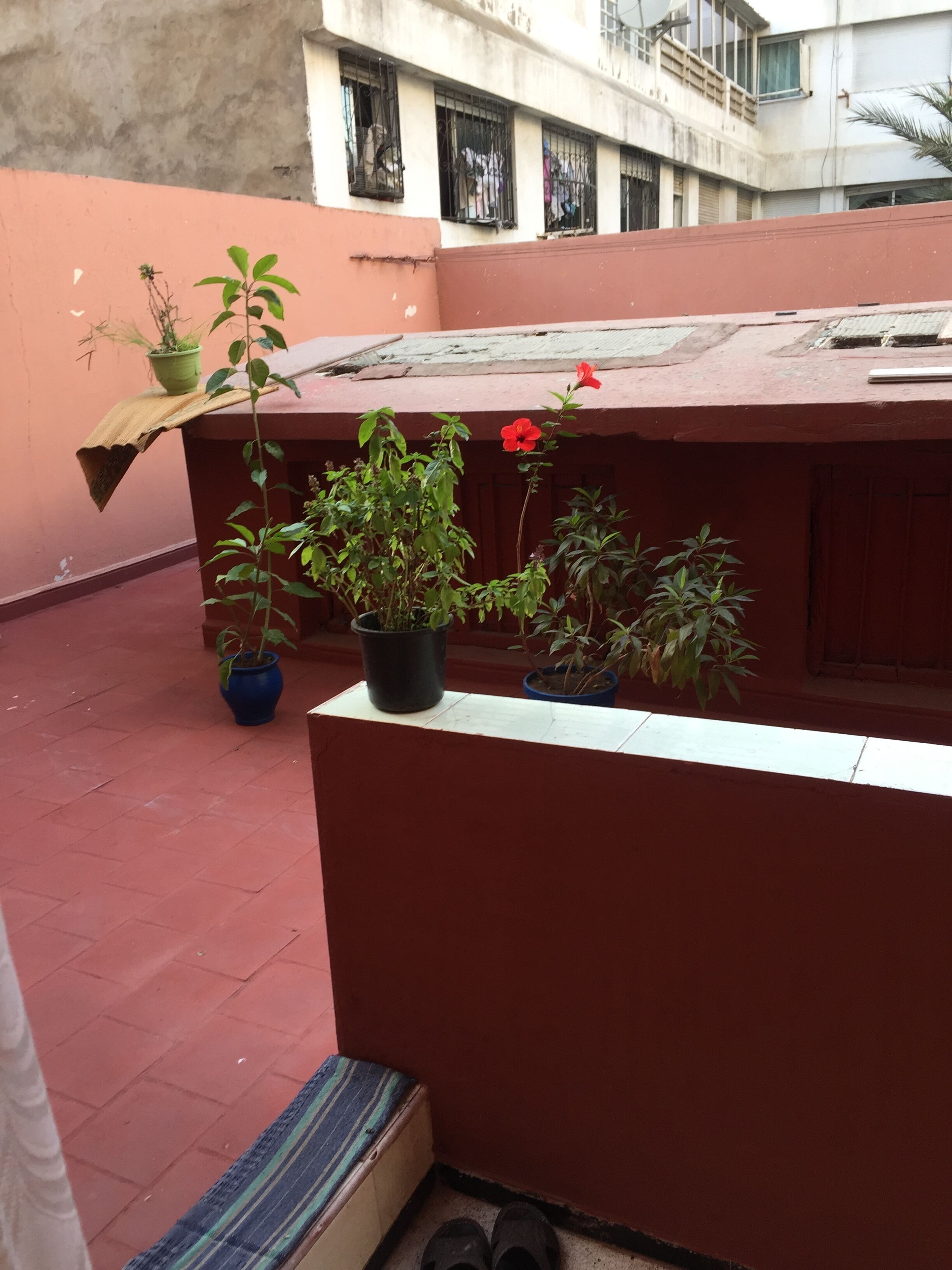 Asrama Umum, 1 kamar tidur, Boleh Merokok, balkon | Eksterior