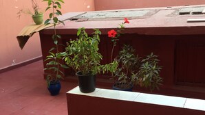 A rooftop with potted plants, a red bench, and a pair of shoes. - Room-property Located in a Quiet Area cl (Casablanca)