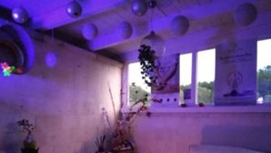 A room with a sofa, a small table with plants, and a window with a view. - Trullo Relais "La Perla Bianca" (Contrada Pozzomasiello-pentimi Locorotondo)