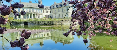 Un edificio histórico con un estanque reflectante y flores rosadas en primer plano.