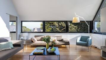 Télévision, cheminée, table de tennis de table, livres