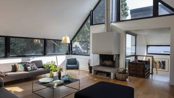 Télévision, cheminée, table de tennis de table, livres