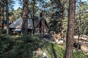Una baita circondata da alberi alti, con una veranda e un'area salotto all'aperto.