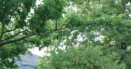 Arados Family Residence