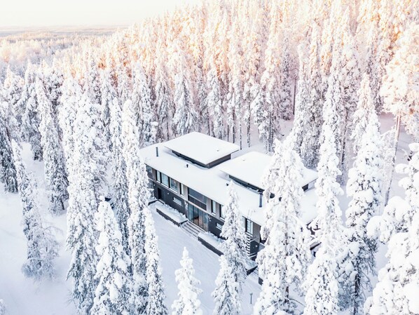 A modern house surrounded by snow-covered trees.