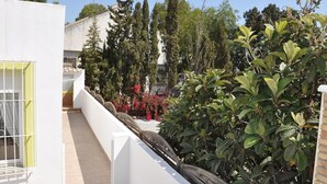 A courtyard with a white building, a metal gate, and various plants. - Villa with Private Pool, Terrace, A/C and Wi-Fi (San Miguel de Salinas)