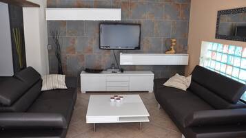 TV, fireplace, video games, DVD player