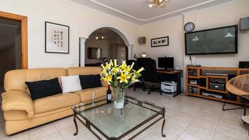 TV, DVD player, table tennis, stereo