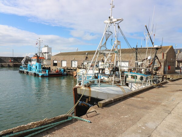 Casa de campo | Marina