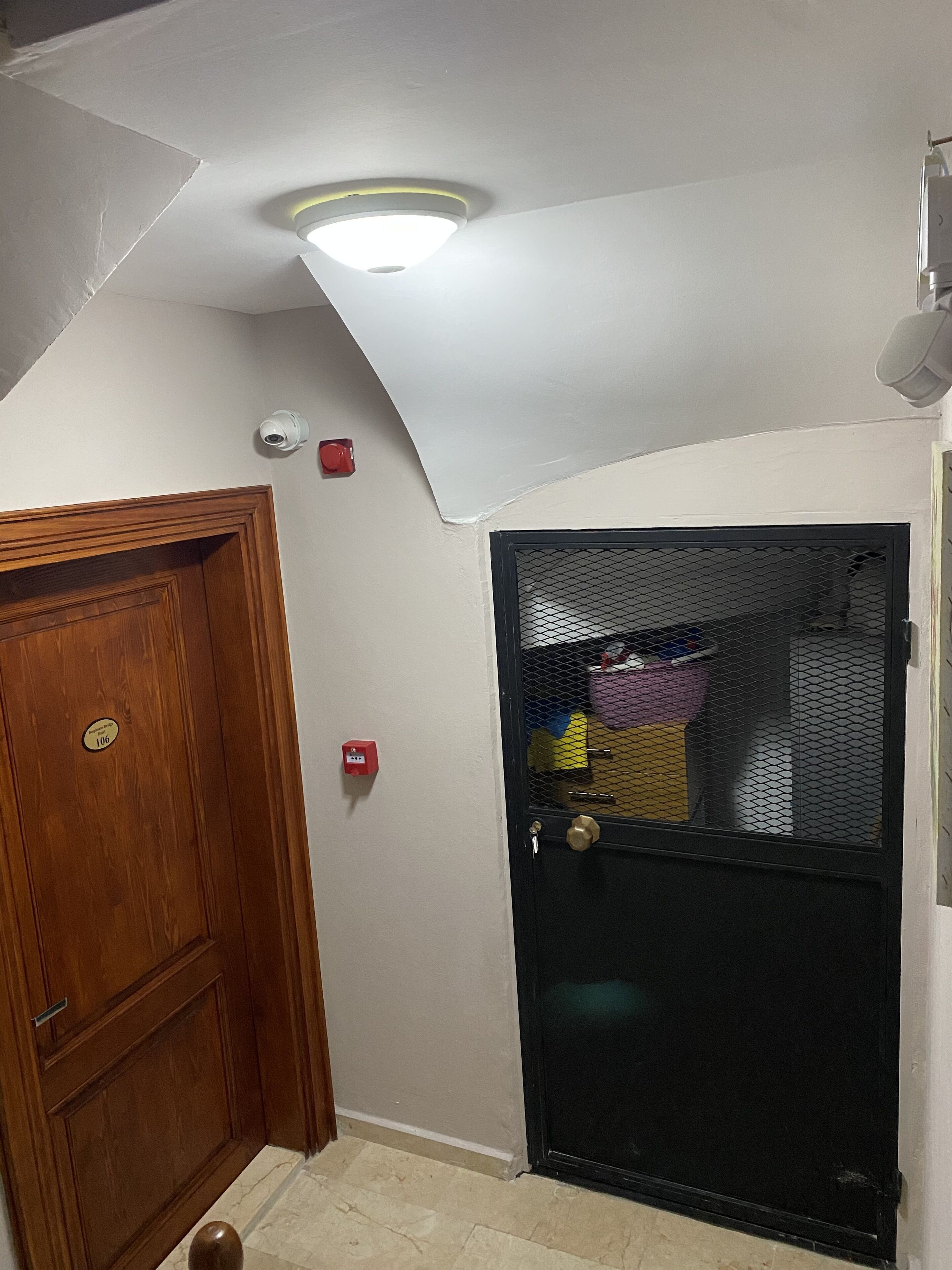 A room with a wooden door, a black mesh door, a ceiling light, and a smoke detector.