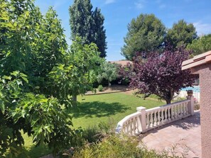 A garden with a variety of trees and a well-maintained lawn.
