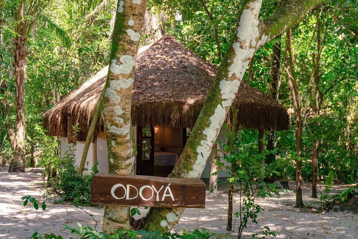 Een rieten hutje met de tekst 'ODOYA' in een bebost gebied met zandgrond.
