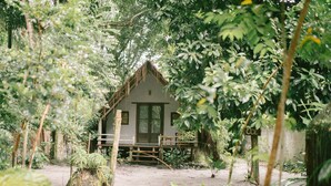 Een rustiek houten huis, omgeven door weelderige beplanting en een zandpad erheen.