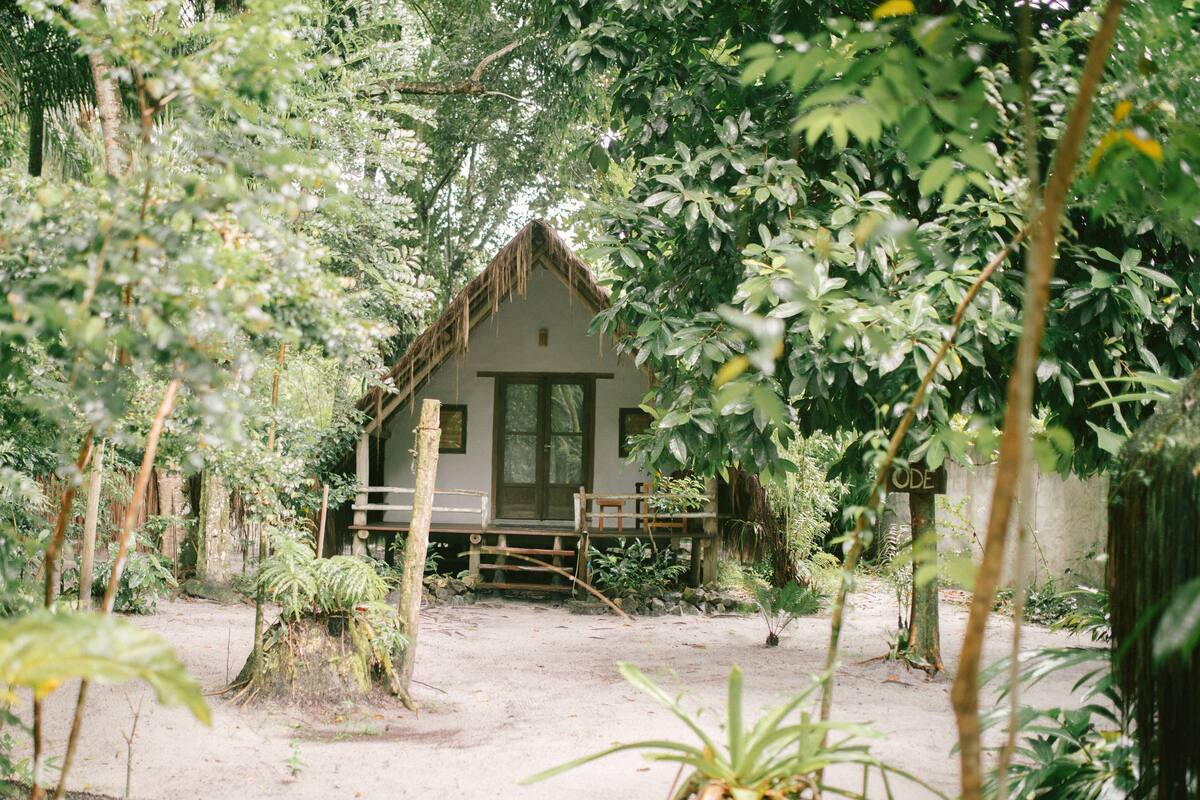 Een rustiek houten huis, omgeven door weelderige beplanting en een zandpad erheen.