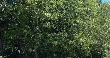 Charming Waterfront Cape Cottage with Private Beach and Beautiful Water Views