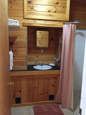 Shower, towels, toilet paper