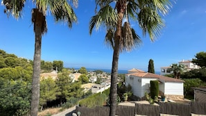 Una zona residencial costera con casas, palmeras y una vista despejada del mar.