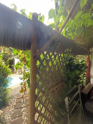 Enceinte de l’hébergement