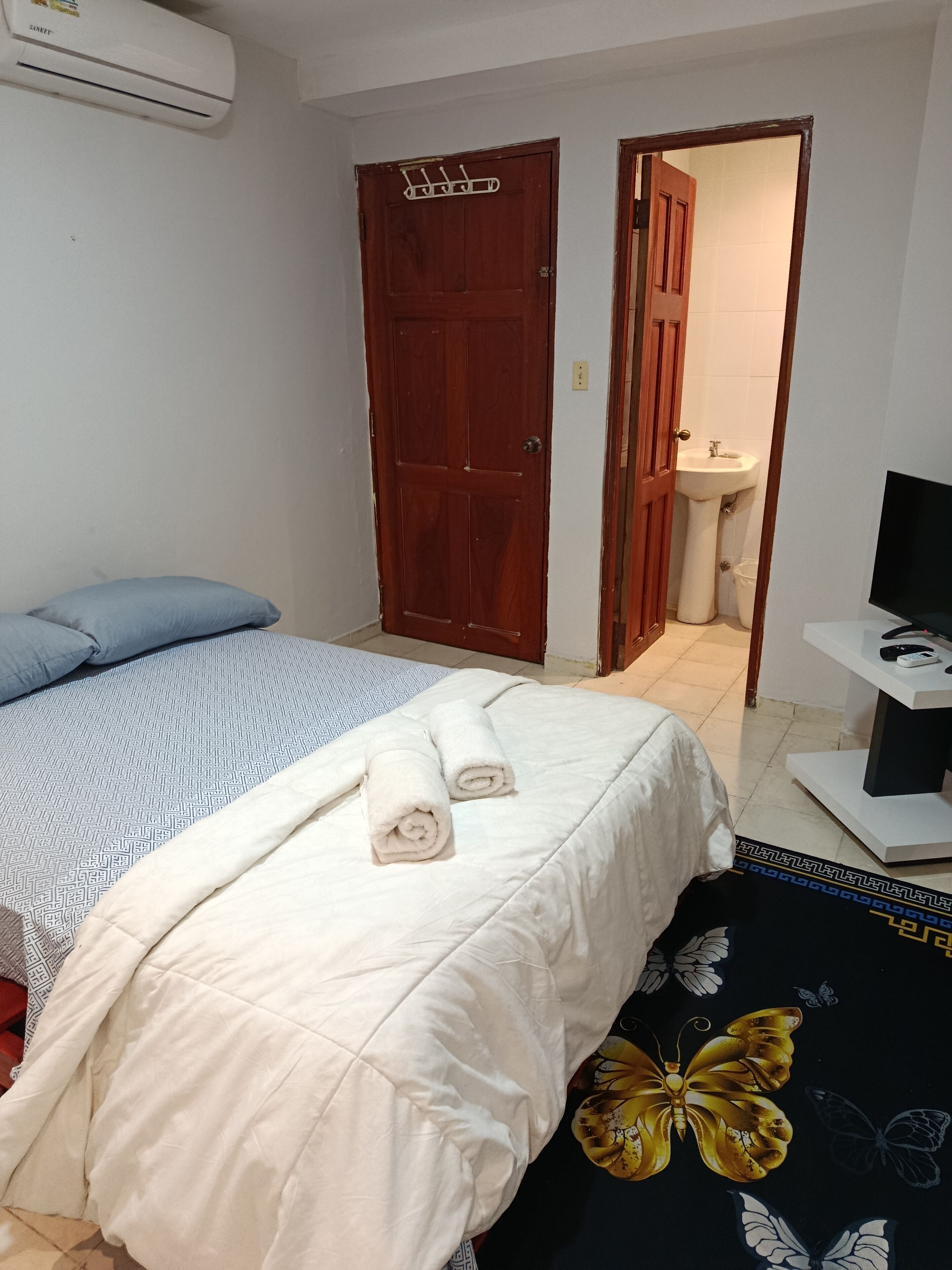 Un dormitorio con cama, armario, lavamanos y televisión.