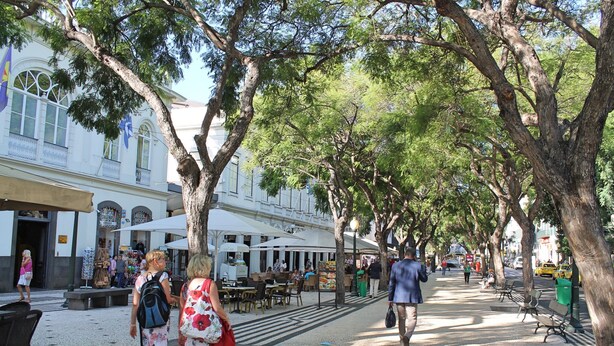 A tree-lined street with outdoor seating and a café named Funchat Town Centre Cafés. - Chill Garden Apartment (Funchal)