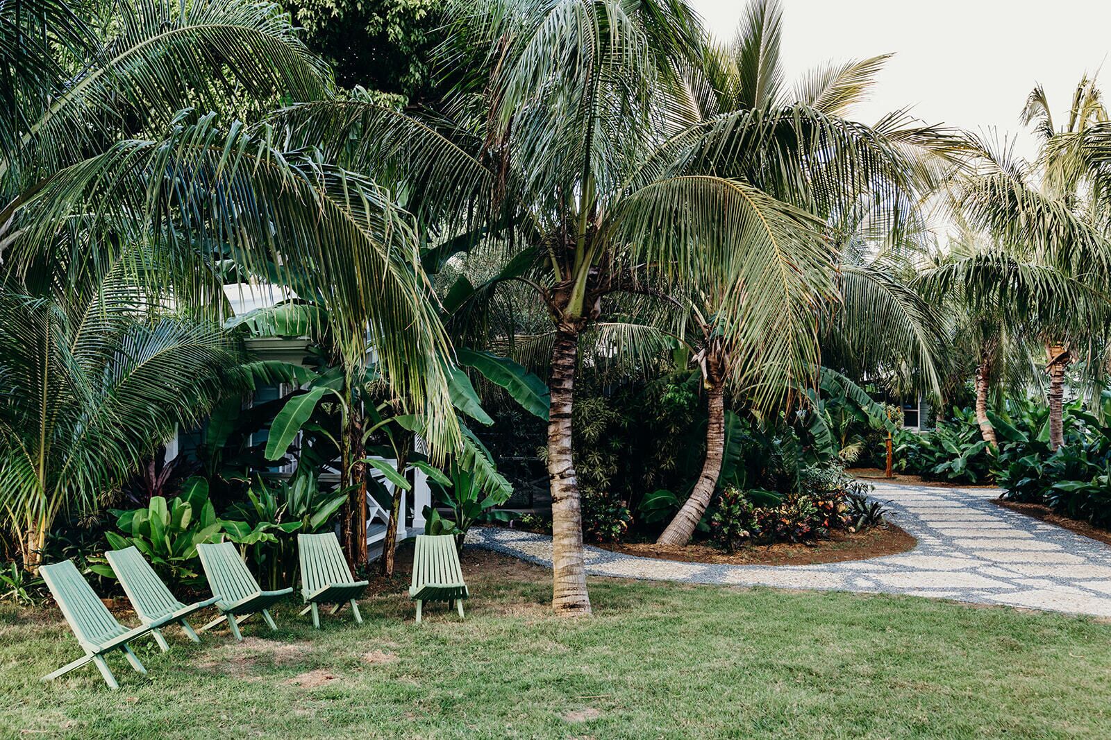 A tropical garden with palm trees, a pathway, and green lounge chairs.