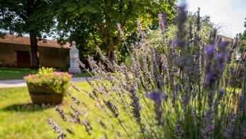 Enceinte de lâhĂ©bergement