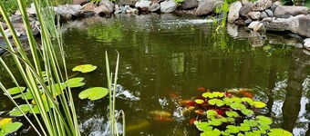 Sherwood Treehouse Vacation Rental