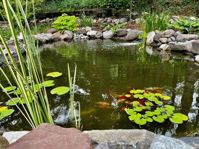 Sherwood Treehouse Vacation Rental