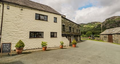 Newfield Apartment 1