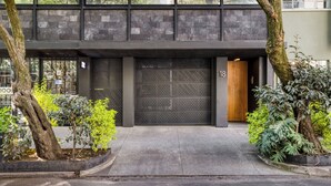 A building with a garage door, a large tree, and a small plant area. - ULIV Parque México (Mexico City)
