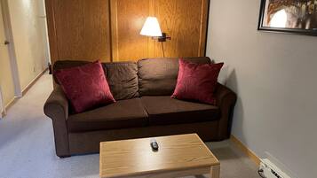 獨棟房屋, 1 張加大雙人床和 1 張沙發床 (Lift House 403, Studio Condo in Vail ) | 客廳 | 電視