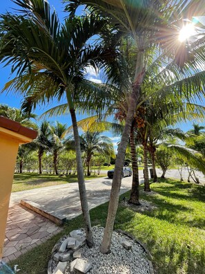 Áreas de la propiedad