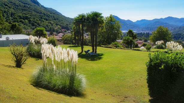 A lush green lawn with a gazebo, pampas grass, and a view of a town and mountains in the background. - Cadro Garden (Lugano)