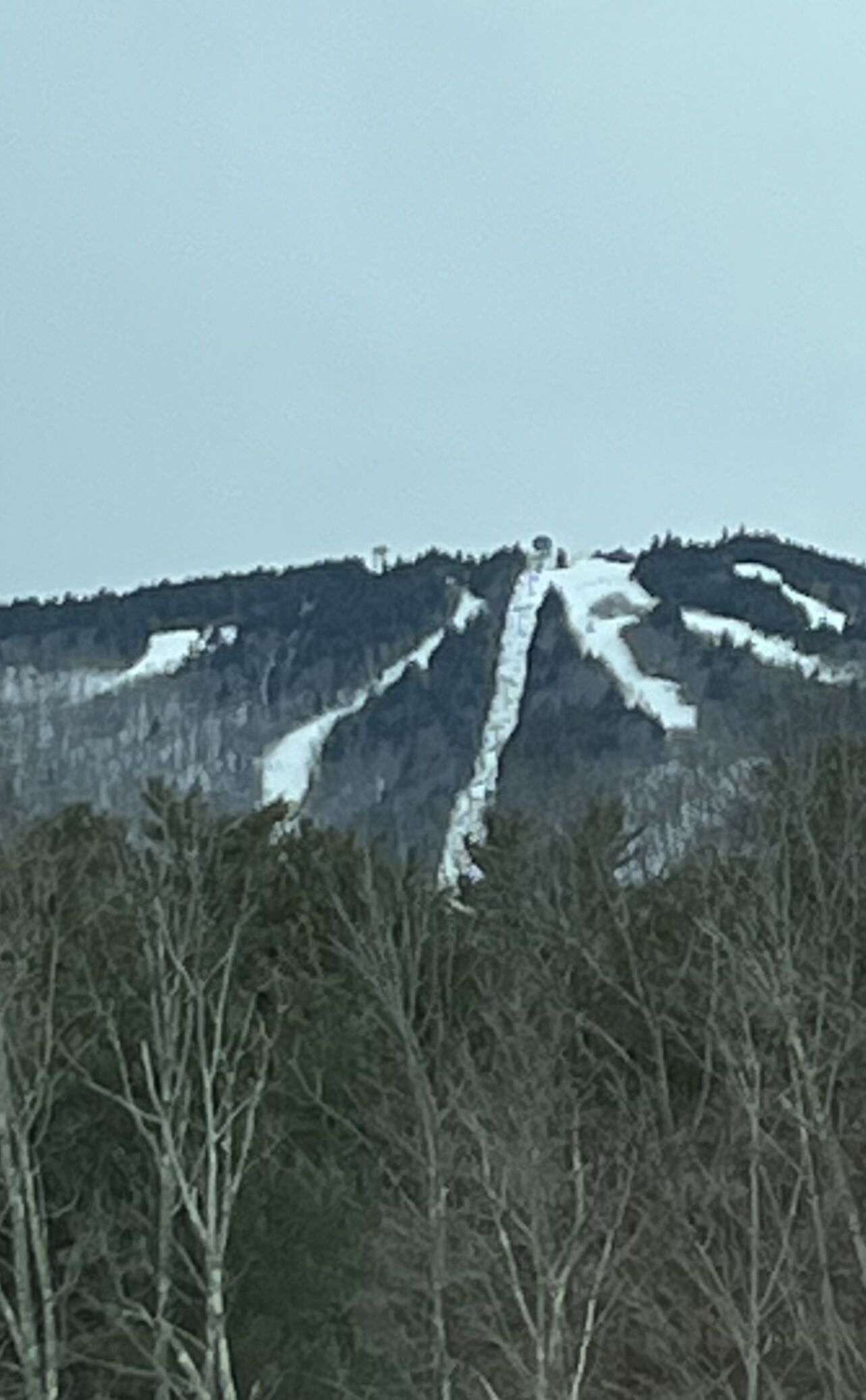 A mountain with a snow-covered path leading to a peak, surrounded by trees.