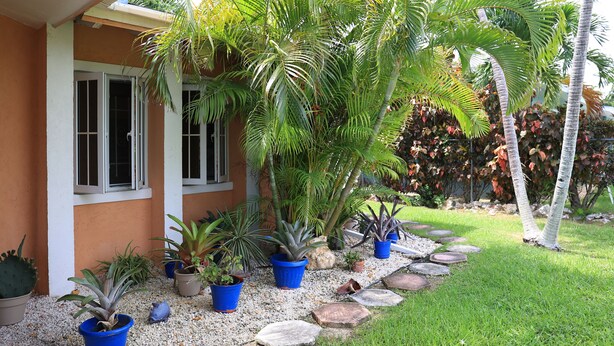 Garden - Coconut Palm Hideaway (Nassau)