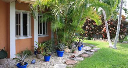 Coconut Palm Hideaway
