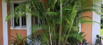 Coconut Palm Hideaway