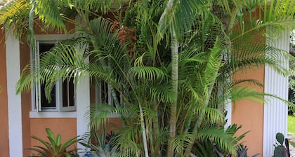 Coconut Palm Hideaway