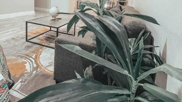 Un salon spacieux avec un ventilateur de plafond, une table basse et une grande plante.