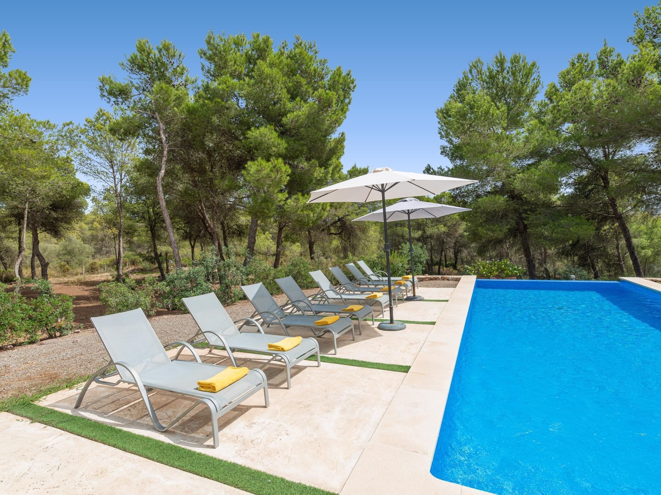 A poolside area with lounge chairs and umbrellas, surrounded by trees.