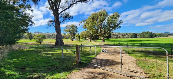 A rural landscape with a fenced gate, trees, and open fields. - Dreamy Farmhouse in a Breathtaking Location (Strathbogie)
