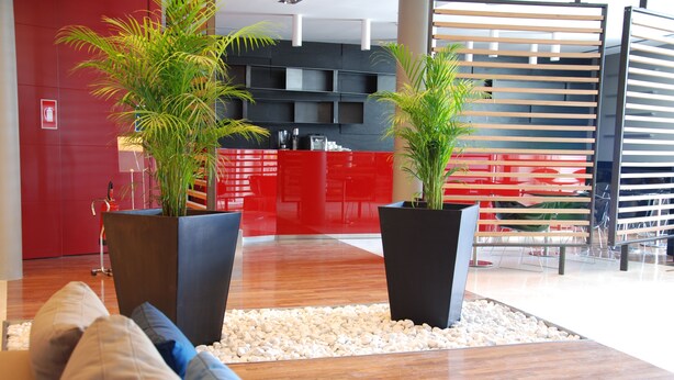 A modern lobby with a red reception desk, two large potted plants, a seating area with cushions, and a wooden floor. - Sea Art Hotel (Vado Ligure)