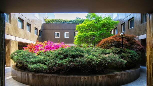 Een binnenplaats met een rond bloembed, een gebouw met een modern ontwerp en een boom met groene bladeren.